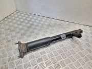 Stoßdämpfer links hinten Mercedes-Benz E-Klasse Coupe (C207) A2073204330