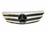 Vorderer oberer Gitter MERCEDES-BENZ B (W245) B 200 CDI (245.208) A1698800883