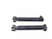 Heckklappe Gasdruckfeder links BMW X5 (E70) 4.8 i xDrive 7149631