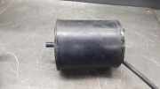 Aktivkohlefilter für Tankentlüftung Opel Omega B () 17063013DA