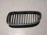 Vorderer oberer Gitter BMW 3 Coupe (E92) 320 d 7254971