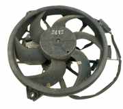 Elektrolüfter Peugeot 607 () 9400039