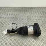 Rear right pneumo shock absorber BMW X7 (G07) xDrive40d M Sport 78315615