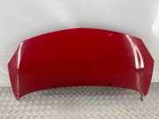 Motorhaube RENAULT TWINGO II (CN0_) 1.2 16V (CN04, CN0A, CN0B)