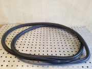 Türgummi rechts vorne Audi Q7 (4L)