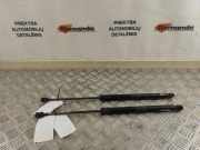 Heckklappendämpfer links VW Tiguan I (5N) 5N0827550D