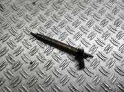 Einspritzdüse BMW 5 Gran Turismo (F07) 530 d xDrive 05228