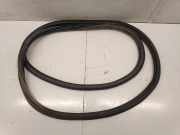 Türgummi rechts vorne Audi A3 Sportback (8V) 8Y0831721B