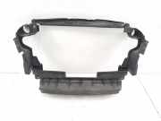 Kühlerluftumlenker MERCEDES-BENZ GL (X164) GL 320 CDI 4-matic (164.822) A1645000116