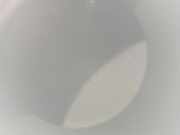 Katalysator ohne Lambdasonde Ford Transit Custom V362 Kasten (FY, FZ) 1719833X