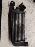 Ladeluftkühler FIAT 500 (312_) 1.2 LPG PA66GF30