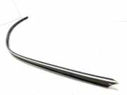 Dachleiste links MERCEDES-BENZ CLK (C209) 270 CDI (209.316)
