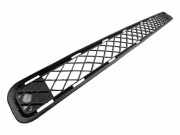 Gitter vorne unten TOYOTA RAV 4 III (_A3_) 2.2 D 4WD (ALA30_) 5311342030