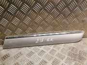 Schutzleiste Kotflügel Mercedes-Benz S-Klasse CL Coupe (C215) 2156900562