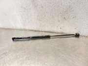 Heckklappe Gasdruckfeder links OPEL OMEGA B Estate (21_, 22_, 23_) 3.2 V6 25132620N