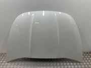 Motorhaube CITROËN DS5 2.0 HDi 165