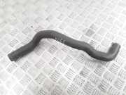 Schlauch Kühlung NISSAN ALMERA TINO (V10) 1.8