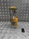 Kraftstofftankpumpe BMW X6 (F16, F86) M 50 d 8013704250001
