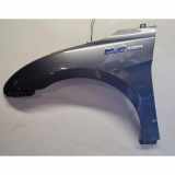 Kotflügel vorne links