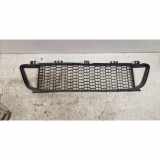 Gitter vorne unten BMW 1 (F20) 118 d xDrive 51118048969 380600600