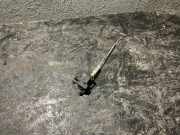 Other Boot Trunk Parts AUDI A3 Sportback (8PA) 1.6 8E9827833