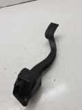 Gaspedal NISSAN PATHFINDER III (R51) 2.5 dCi 4WD F00C3E2047