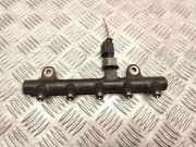 KRAFTSTOFFVERTEILER EINSPRITZLEISTE VERTEILERROHR CITROËN C5 III Break (TD_) 2.0 HDi 140 9656391180