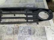 Gitter vorne unten RENAULT GRAND SCÉNIC II (JM0/1_) 1.5 dCi (JM02, JM13) 8200140331