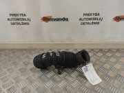 Andere Röhren HYUNDAI ix20 (JC) 1.6 281381P100