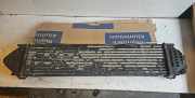 Ladeluftkühler FORD S-MAX (WA6) 2.0 TDCi 6G919L440FC