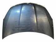 Motorhaube CITROËN C-CROSSER (EP_) 2.2 HDi