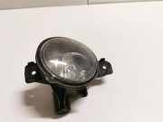 Nebelscheinwerfer links BMW X5 (E70) xDrive 30 d 89206142