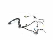 Türverkabelung hinten rechts MERCEDES-BENZ GL (X164) GL 450 4-matic (164.871) a0009983802