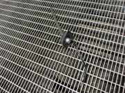 Antenne Dach Mitsubishi ASX (GA)