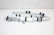 Airbag Dach links Nissan Leaf (ZE0) 34146649