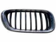 Kühlergrill oben BMW X5 (E53) DFG754TFD0