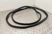 Dichtung für Koffer-/Laderaumklappe Ford Transit Connect V408 Kasten ()