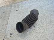 Schlauch für Luftversorgung Ford Fiesta VI (CB1, CCN) N04039E151
