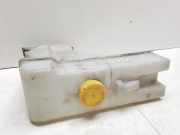 Ausgleichsbehälter NISSAN X-TRAIL (T30) 2.2 dCi 4x4 217114U00A