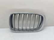Vorderer oberer Gitter BMW X3 (F25) xDrive 35 d 7210725