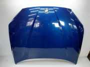 Motorhaube BMW X1 (E84) xDrive 18 d