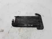 Kühler Renault Trafic III Kasten (FG) 175104049R