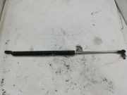 Heckklappe Gasdruckfeder rechts SUZUKI GRAND VITARA II (JT, TE, TD) 2.0 4WD (TD54, JB420)