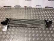 Ladeluftkühler Volvo V50 (545) T1851003