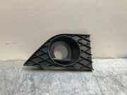 Gitter vorne unten BMW 6 (E63) 650 i 11460915
