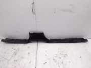 Zierleiste Land Rover Discovery I (LJ, LG) CCRM42006A2