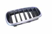 Vorderer oberer Gitter BMW X5 (F15, F85) xDrive 40 d 7316075
