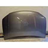 Motorhaube VW TOURAN (1T3) 1.2 TSI