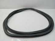 Türdichtung VW Tiguan I (5N) 5NN867913