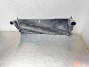 Ladeluftkühler OPEL FRONTERA B (6B_) 2.2 DTI (6B_ZC, 6B_VF, 6B_66, 6B_76) 97142017